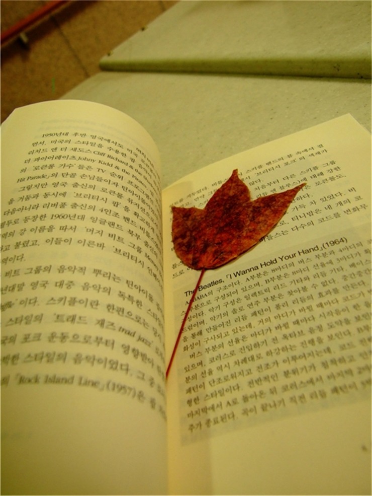 공부못했다가 1년빡세게해서 잘가는애들특징 | 인스티즈