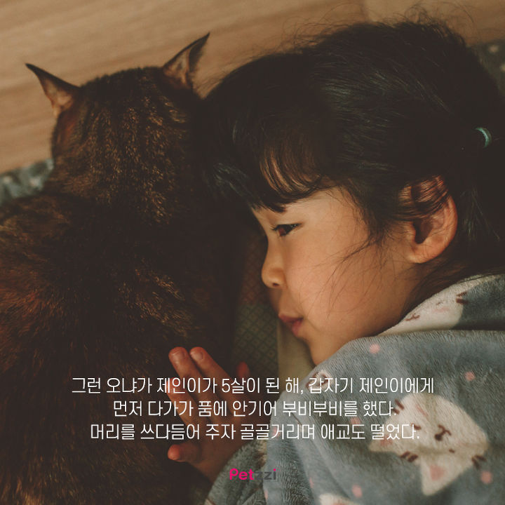 아기와 고양이의 교감 | 인스티즈