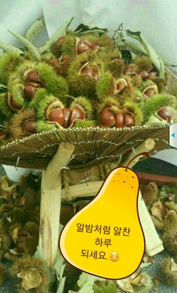 담아서 이미지