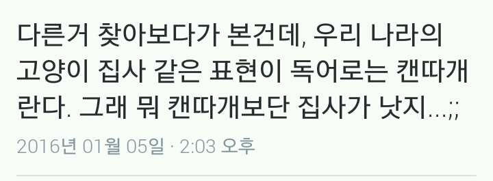 그래도 우리나라가 낫네 | 인스티즈