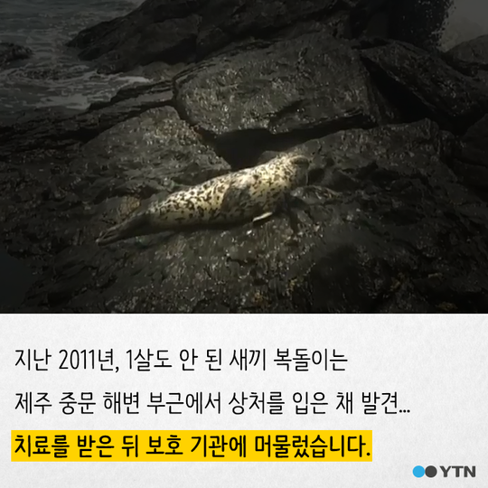 멸종 위기종을 수족관에 전시하는 이상한 나라 | 인스티즈