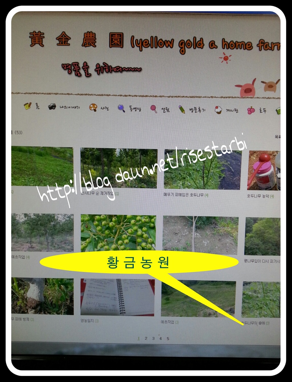 황금농장 이미지