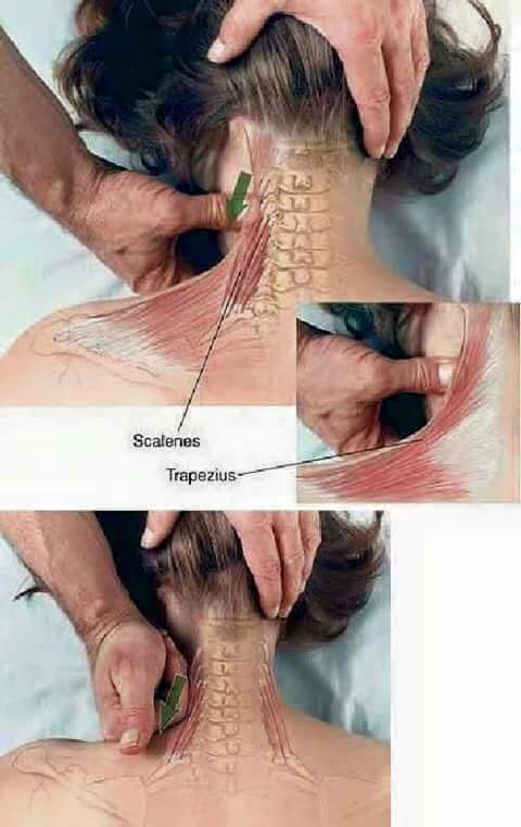 마사지 잘하기.jpg | 인스티즈