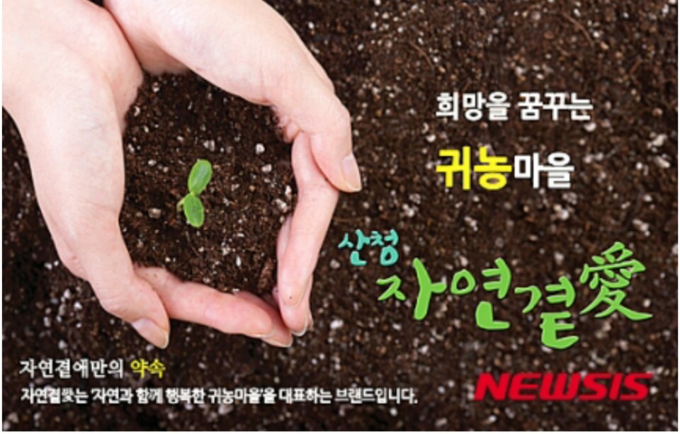 곁애 이미지