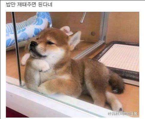 흠 이미지