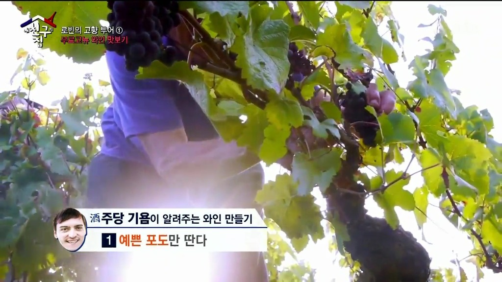 흔한 와인 만들기 꿀팁 | 인스티즈