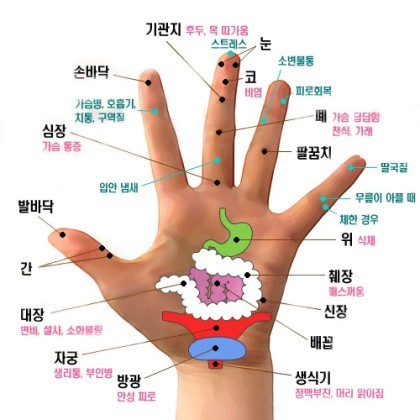 내가 모은 잡다한 정보들 데이터주의 | 인스티즈