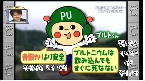 일본이 말하는 방사능의 안전성 | 인스티즈