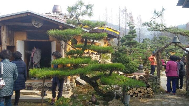 마당조경 이미지