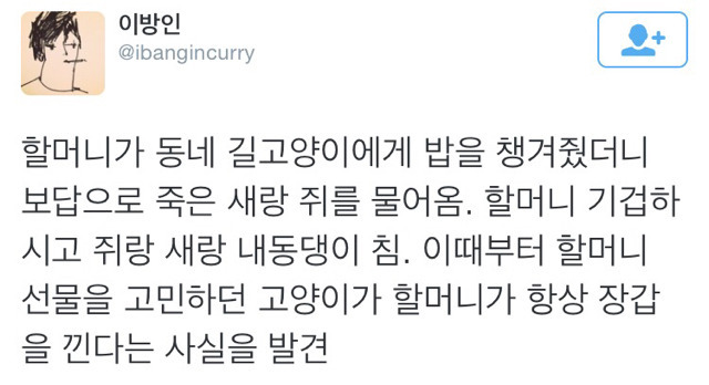 밥을 준 할머니에게 장갑을 물어다준 길고양이 | 인스티즈