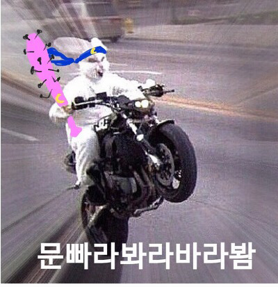노빠와 문빠의 차이 | 인스티즈