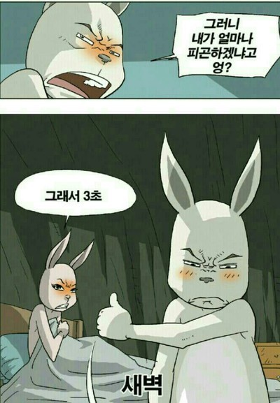 빠름 이미지