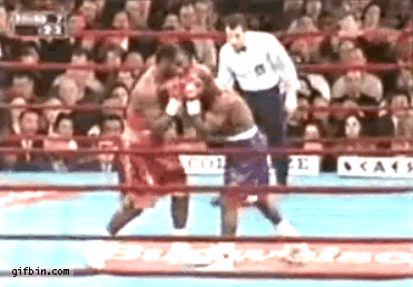 복싱 심판하려면 이정도는 해야지.gif | 인스티즈