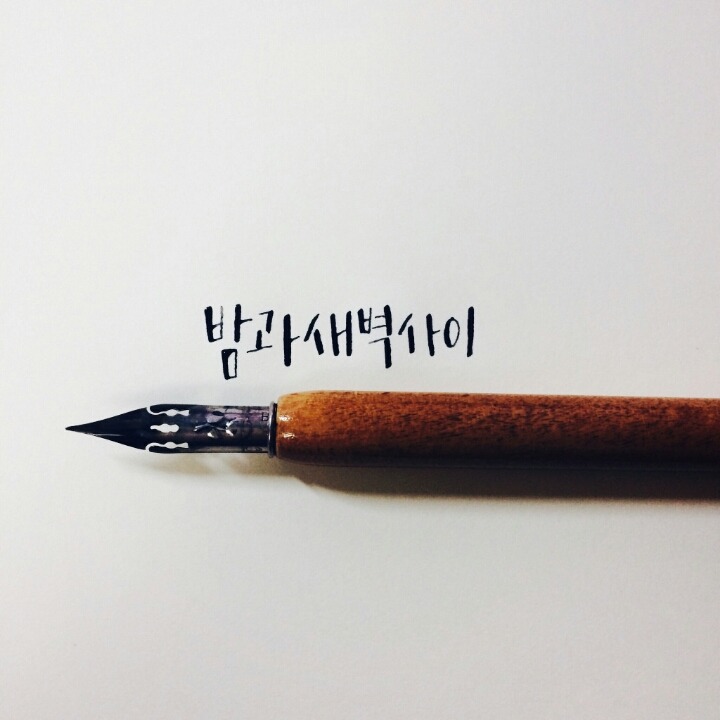 반들반들 이미지
