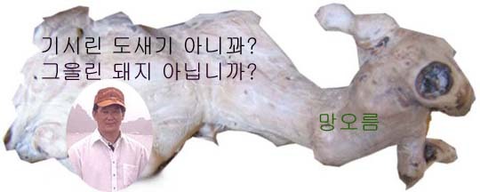 사투리 이미지