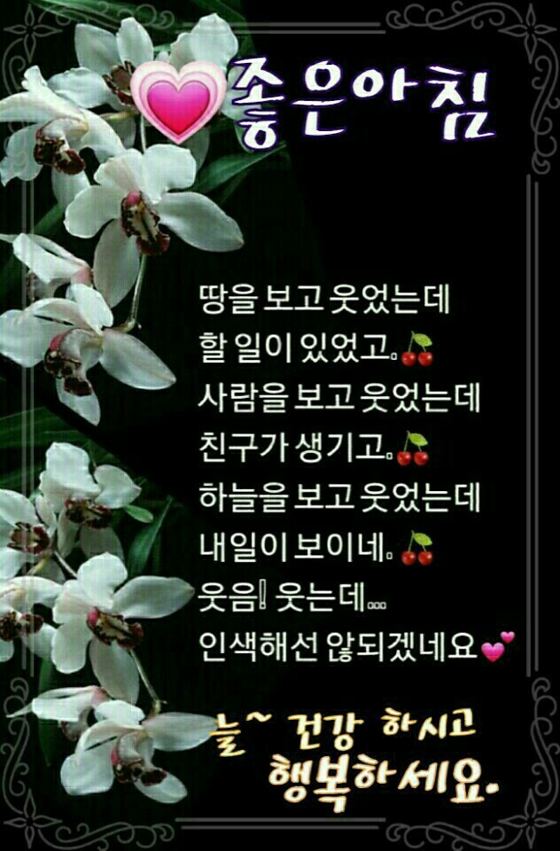 억수로 이미지