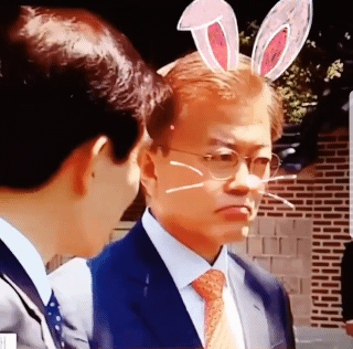 반박불가한 대한민국 대표얼짱 | 인스티즈