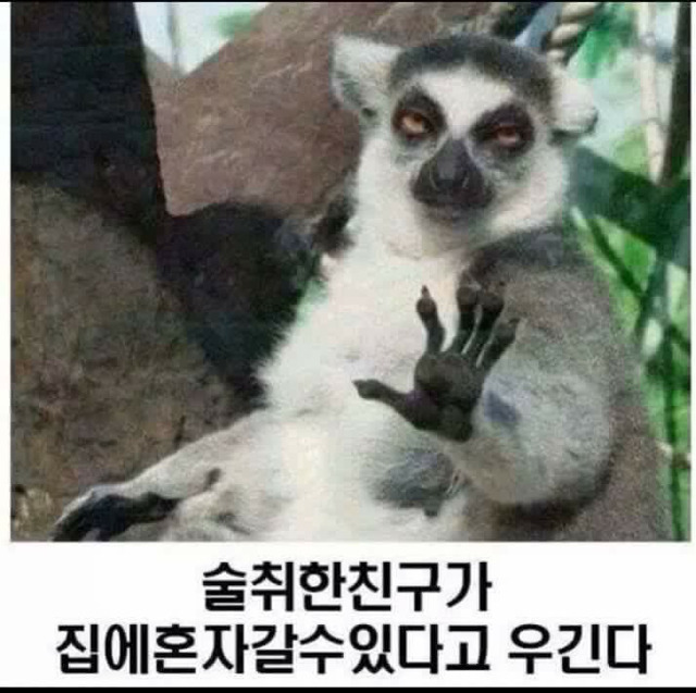 디즈니 덕후들 경악하는 코스프레 | 인스티즈
