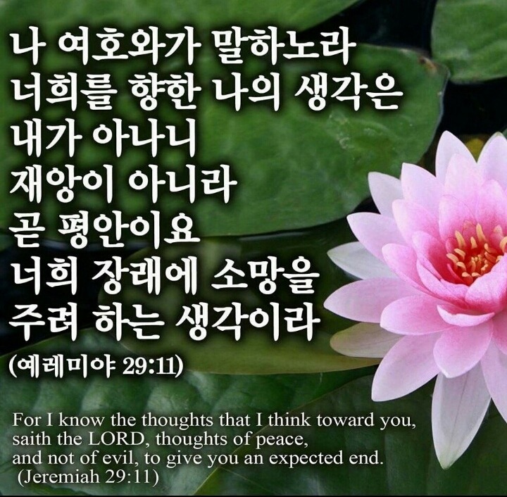 토기장이 이미지