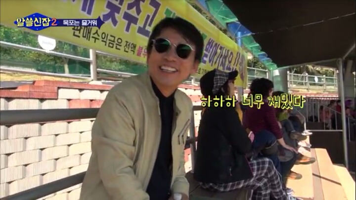 알쓸신잡) 진도의 관광지 + 진도를 유시민이 추천하는 이유 (댕댕이 주의) | 인스티즈