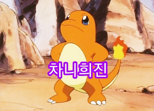 차니피자 이미지