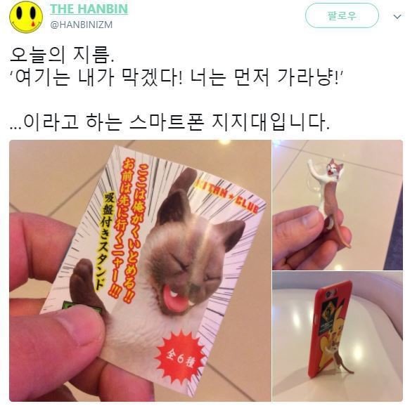 여기는 내가 막겠다냥! | 인스티즈