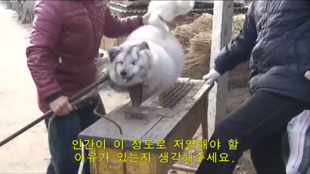모르고 쓰는거면 몰라도 알면서 쓰는 사람들은 솔직히 인간으로 존중 못하겠는 부분.jpg (혐오주의) | 인스티즈