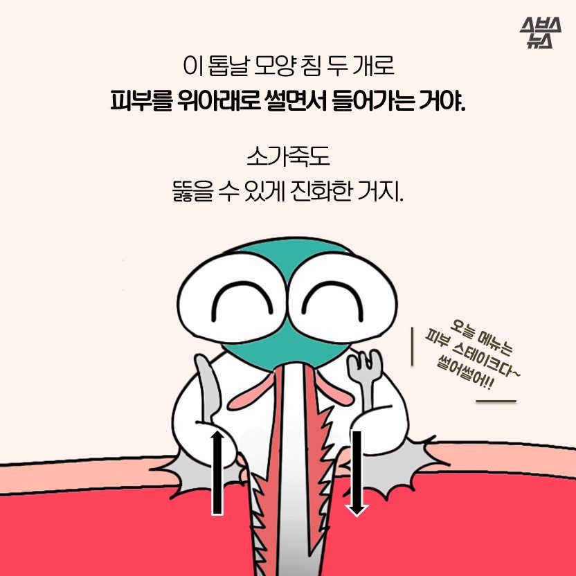 모기 만화.jpg | 인스티즈