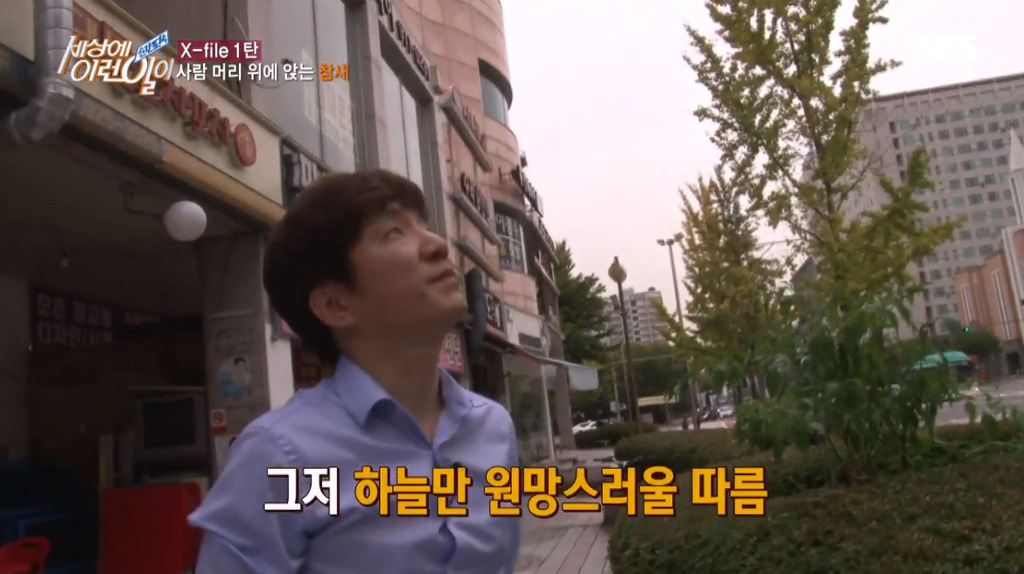 [세상에이런일이] 엄청 충격적이였던 오늘편 사람을 좋아하는 참새 새순이 이야기.jpg | 인스티즈