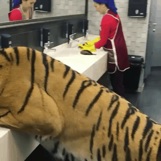 청소하는데 고양이가 물마시느라 비켜주질 않는다.gif | 인스티즈