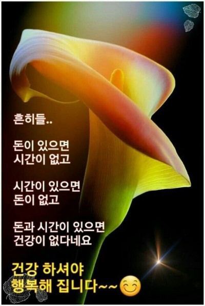 갖바치 이미지