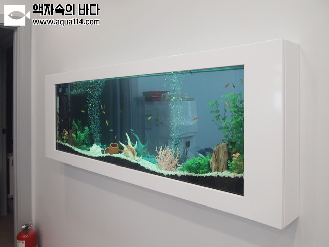 준소아청소년과의원 이미지