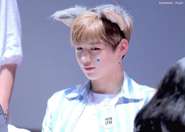 강아지중에 가장 사람닮은듯한 강다니엘 사진모음.jpg | 인스티즈