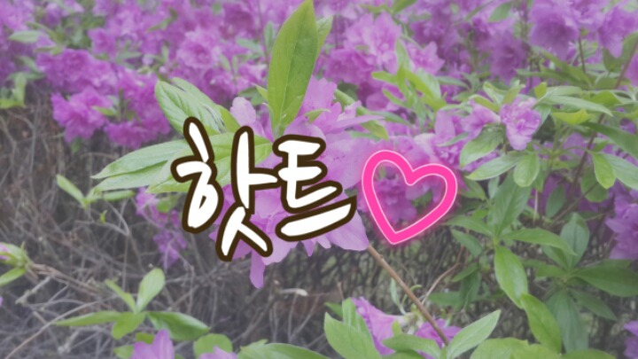 빠빠 이미지