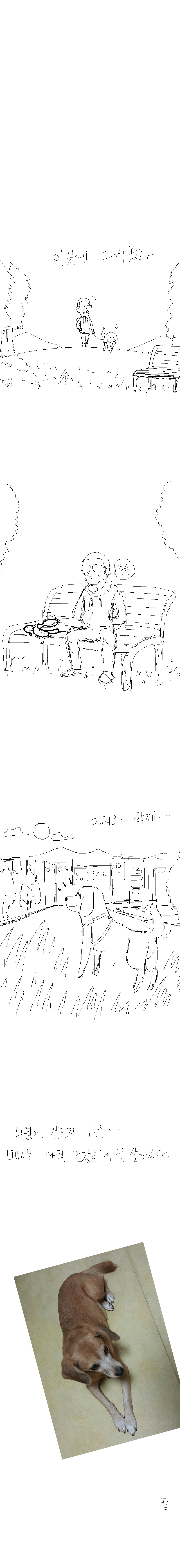 개 키우는 만화....jpg | 인스티즈