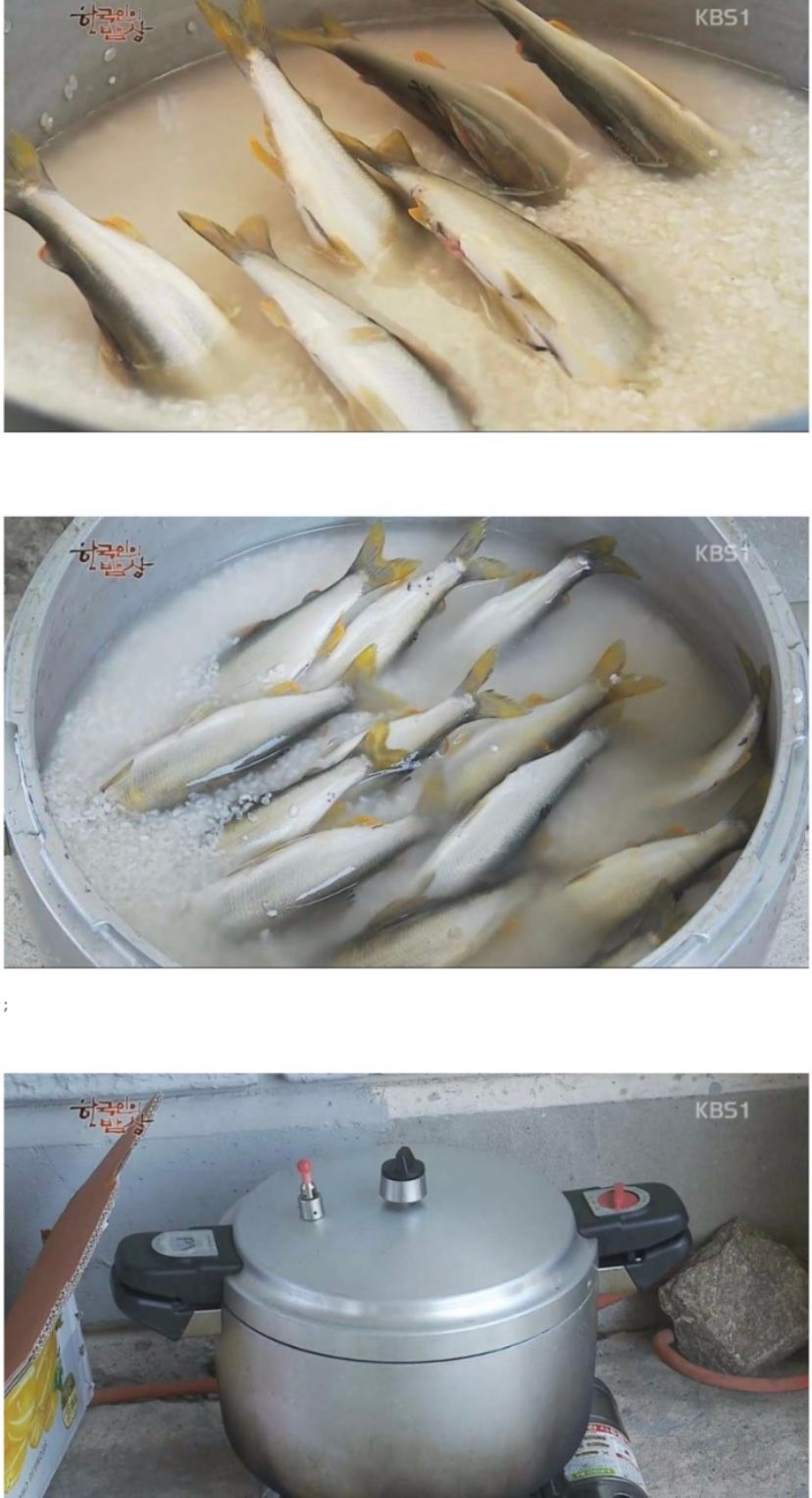 물고기가 통째로 들어가는 밥.JPG | 인스티즈