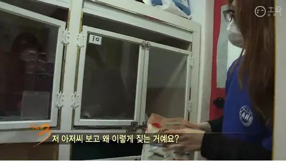 는 남자가 시러 ㅜㅅ° | 인스티즈
