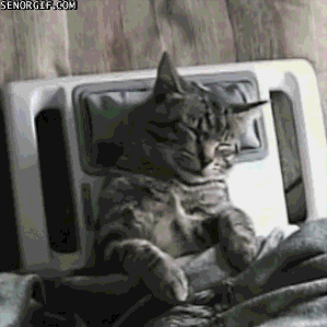 [움짤] 너무 편해서 기절 .GIF | 인스티즈