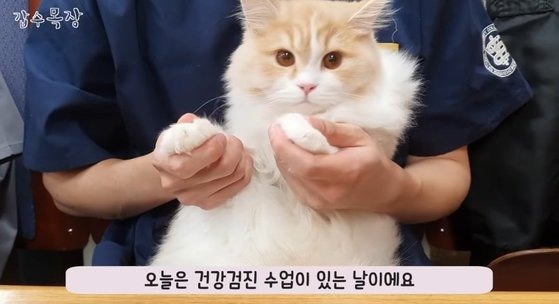 역대급으로 다사다난한 2020년 | 인스티즈