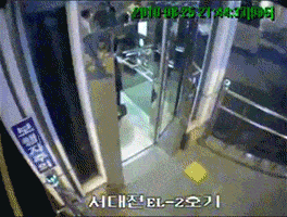 한국인 최초 다윗상 | 인스티즈