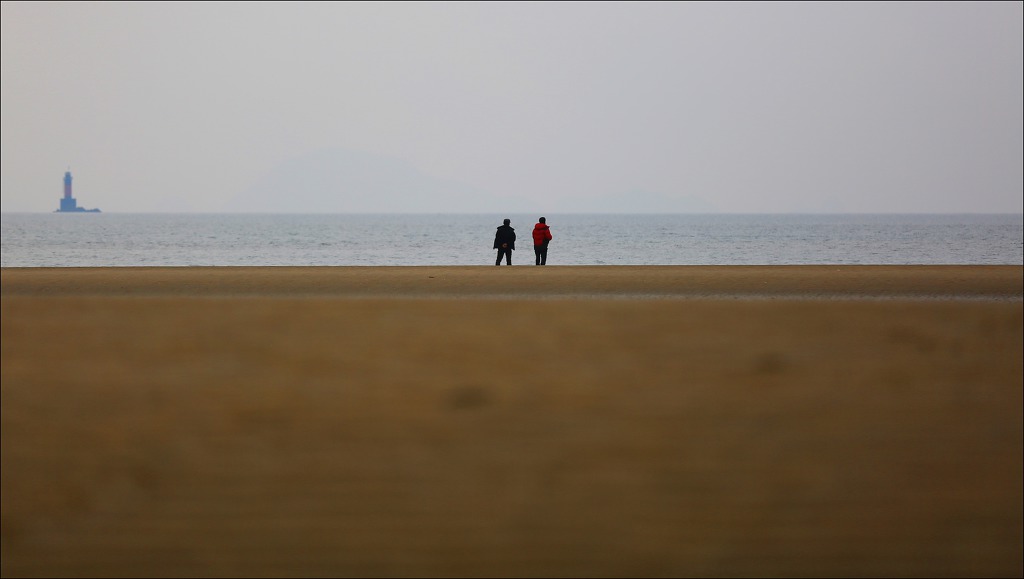 해송 이미지