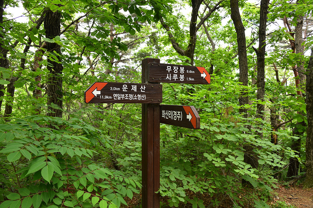 화산골산장 이미지