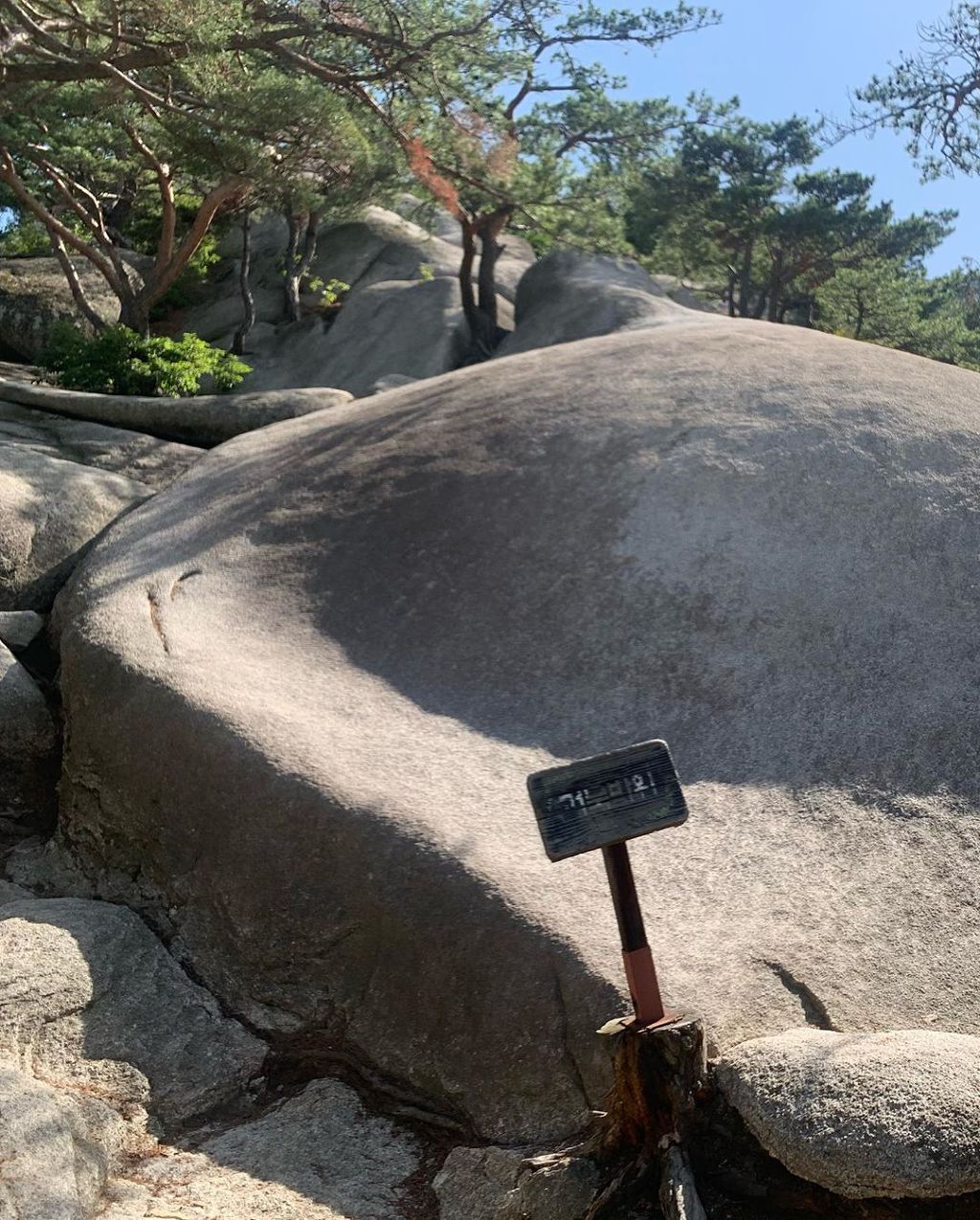 9928FF4F5EE7876D116554