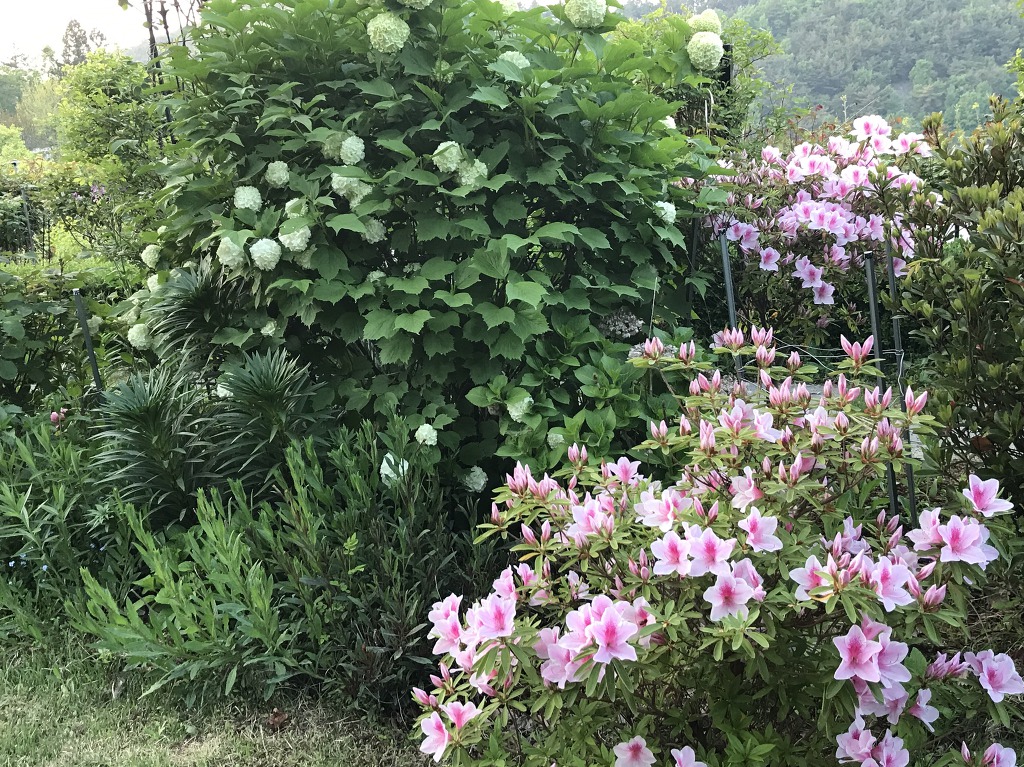 4월의정원 이미지