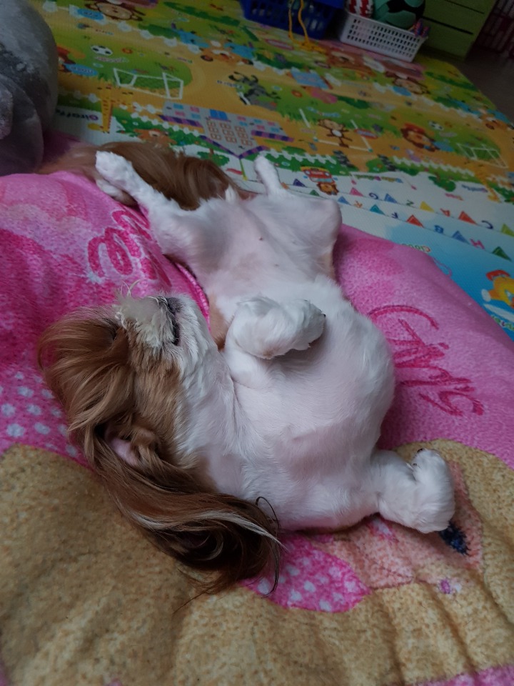공감 이미지