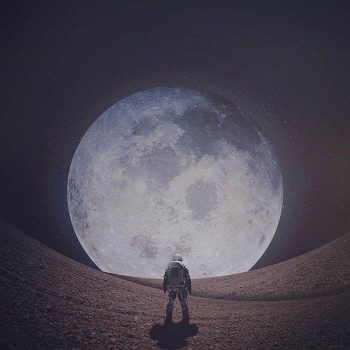 달에서 영감을 받는다는 디자이너 | 인스티즈