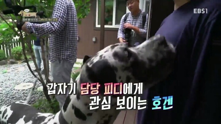 강형욱 훈련사에게 감탄한 세나개 제작진과 견주들.jpg | 인스티즈