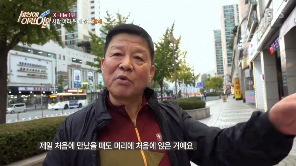 [세상에이런일이] 엄청 충격적이였던 오늘편 사람을 좋아하는 참새 새순이 이야기.jpg | 인스티즈