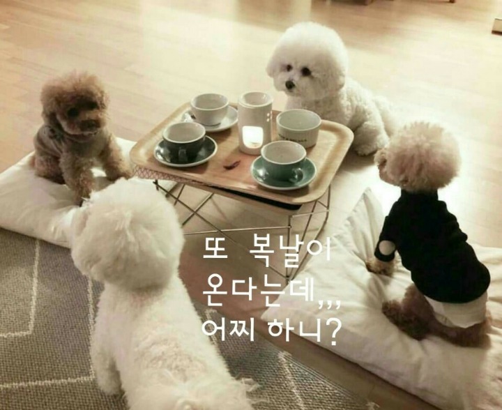 빵긋 이미지