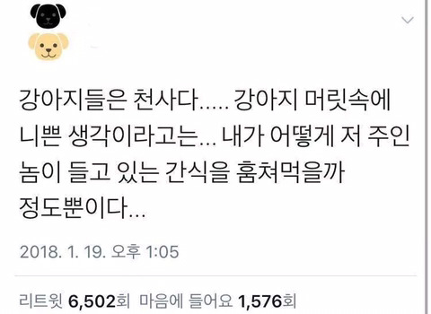 강아지들은 천사다.twt | 인스티즈